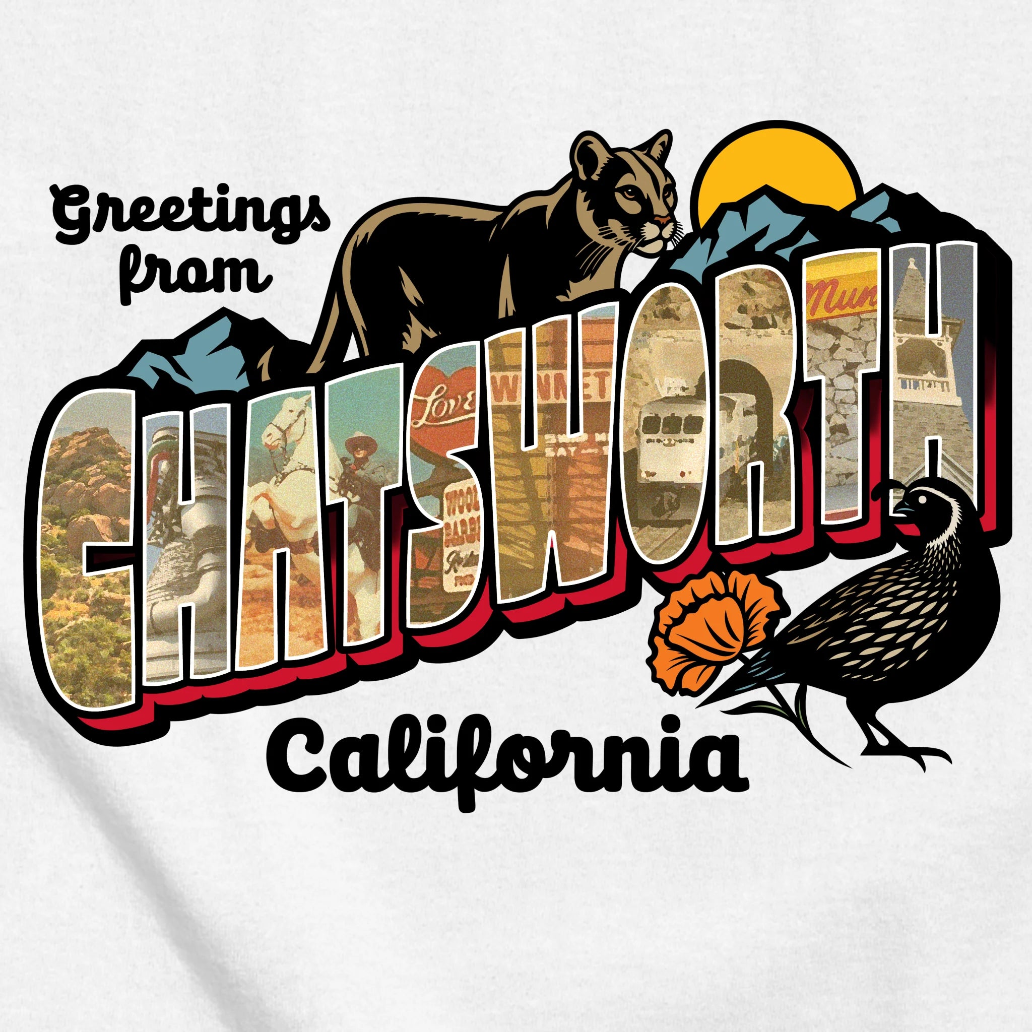 classic_transparent-FRONT_zoom2