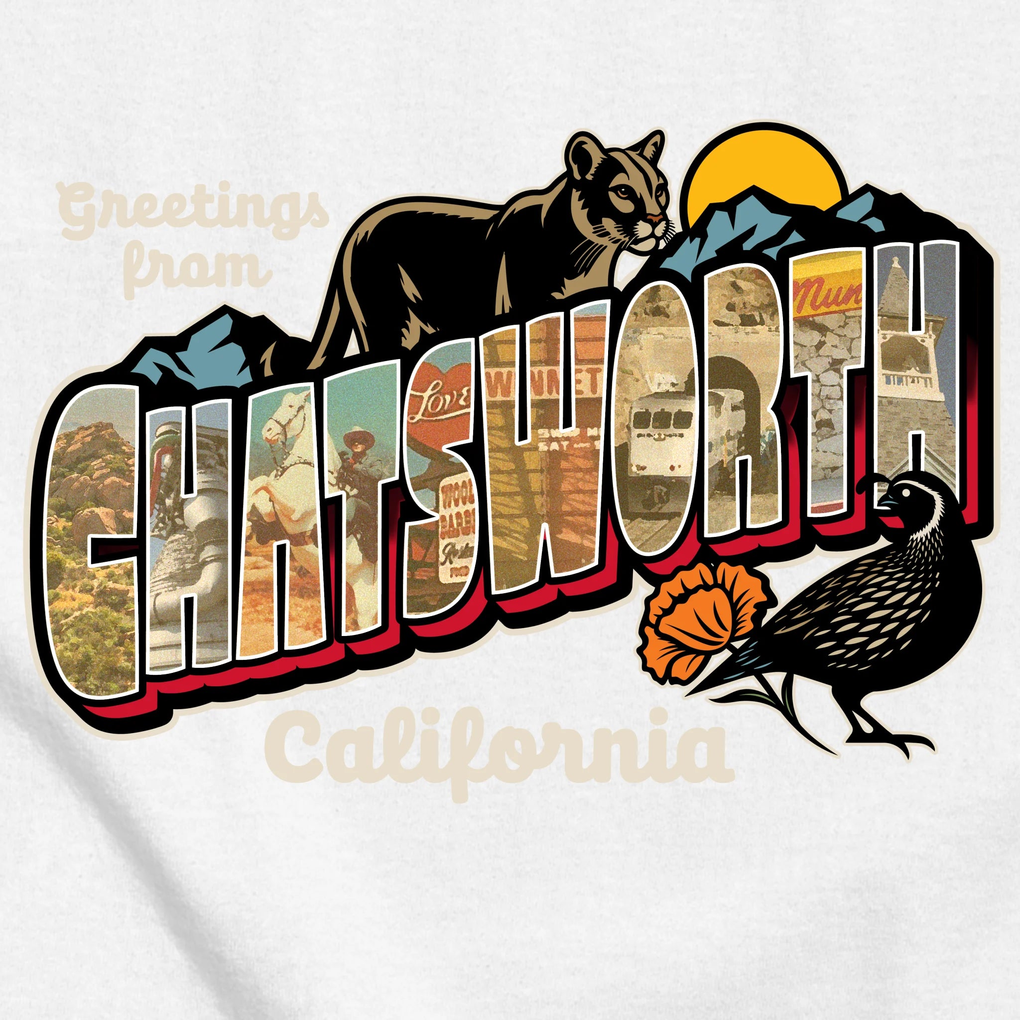 classic_transparent-FRONT_zoom2