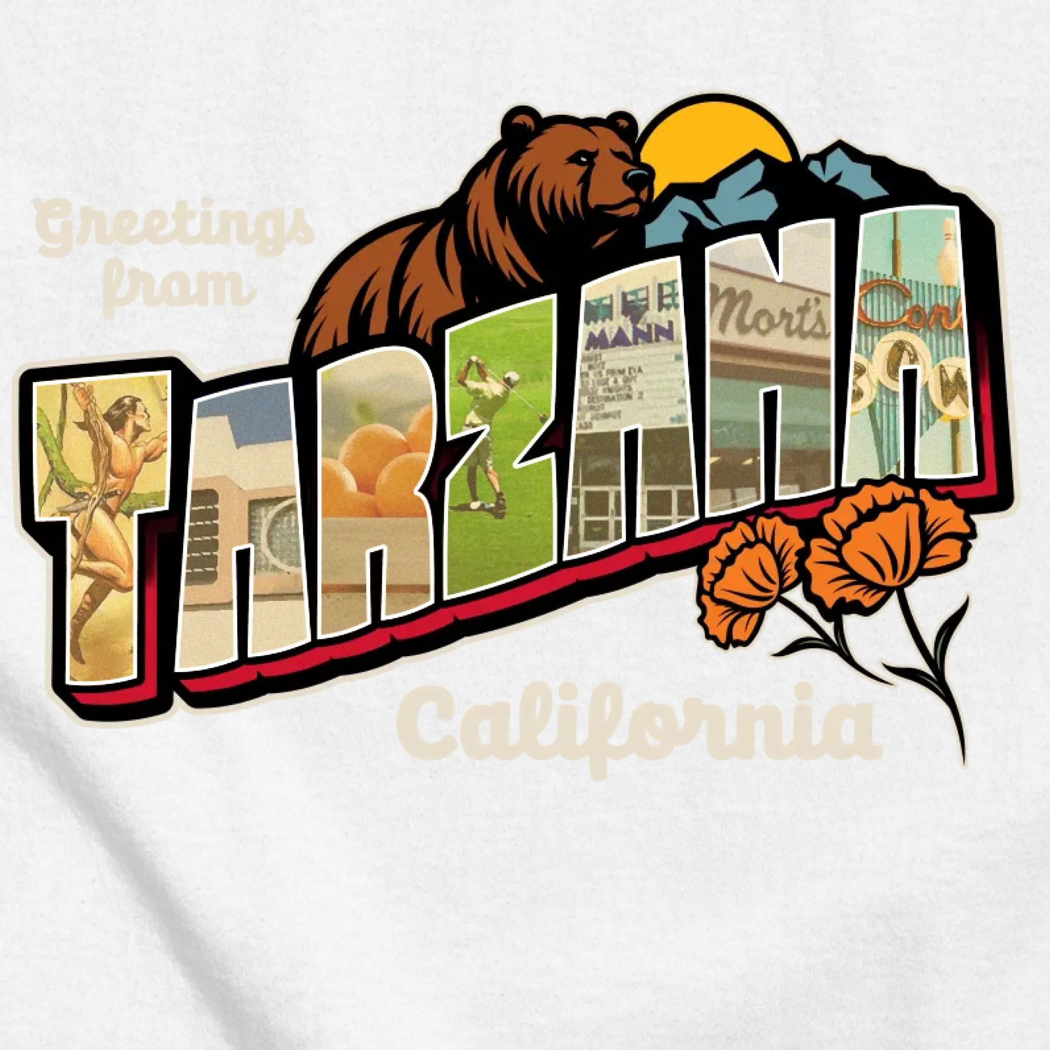 classic_transparent-FRONT_zoom2