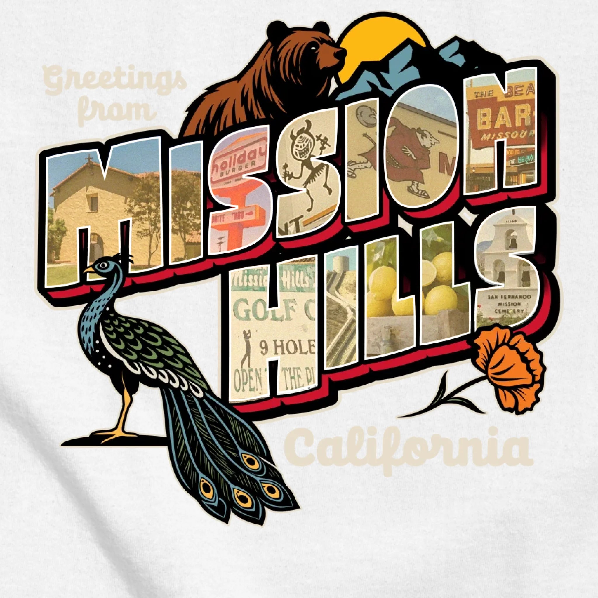 classic_transparent-FRONT_zoom2