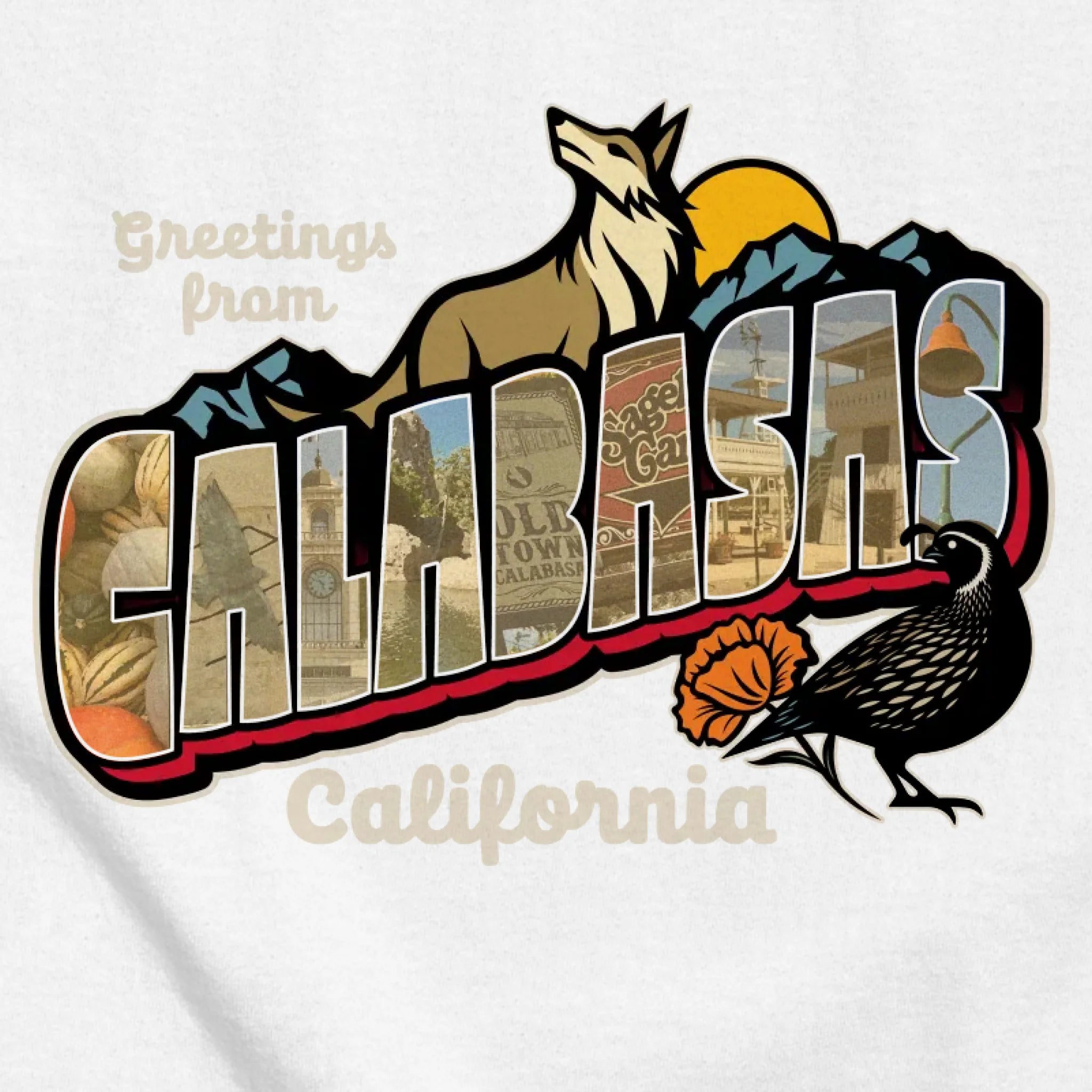 classic_transparent-FRONT_zoom