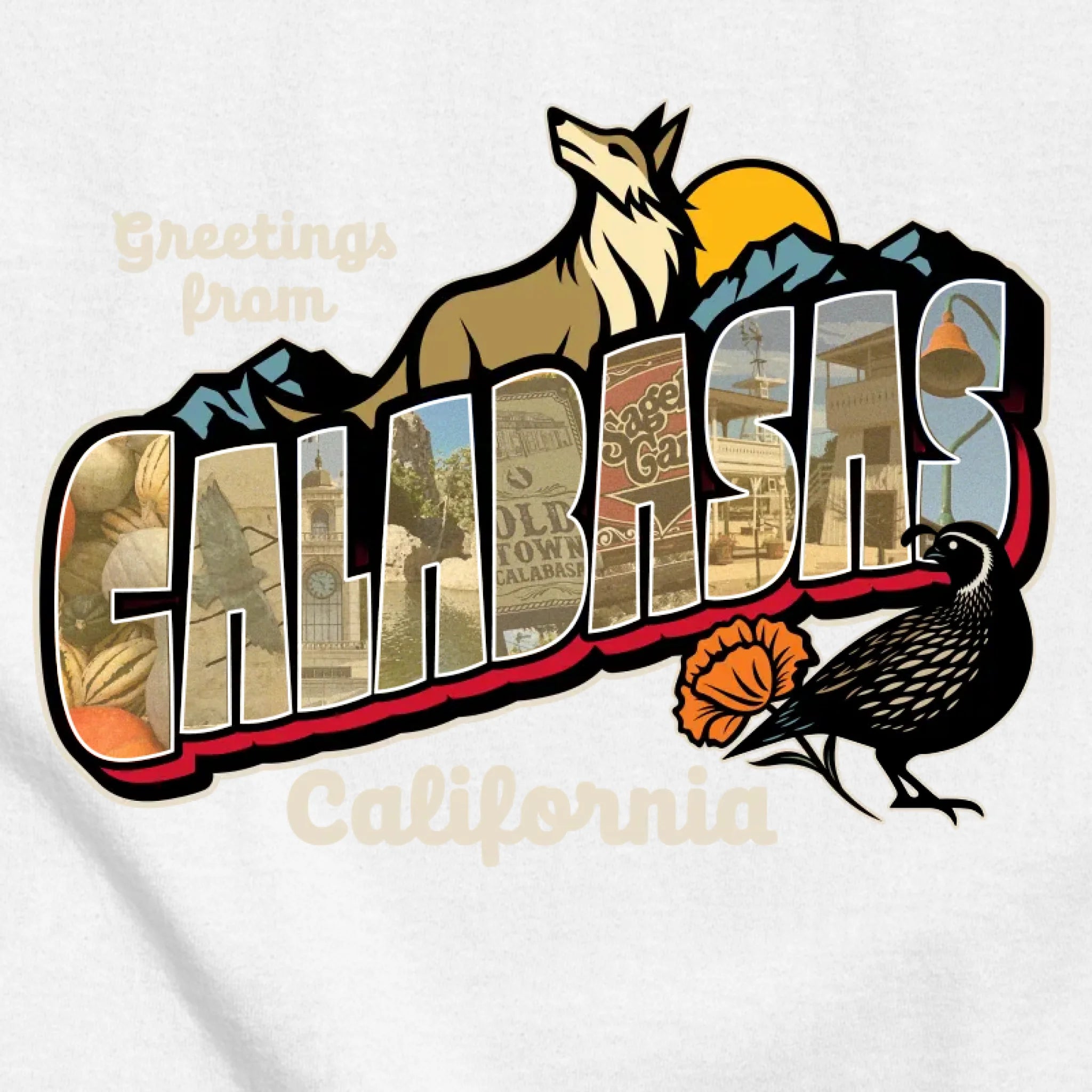 classic_transparent-FRONT_zoom2