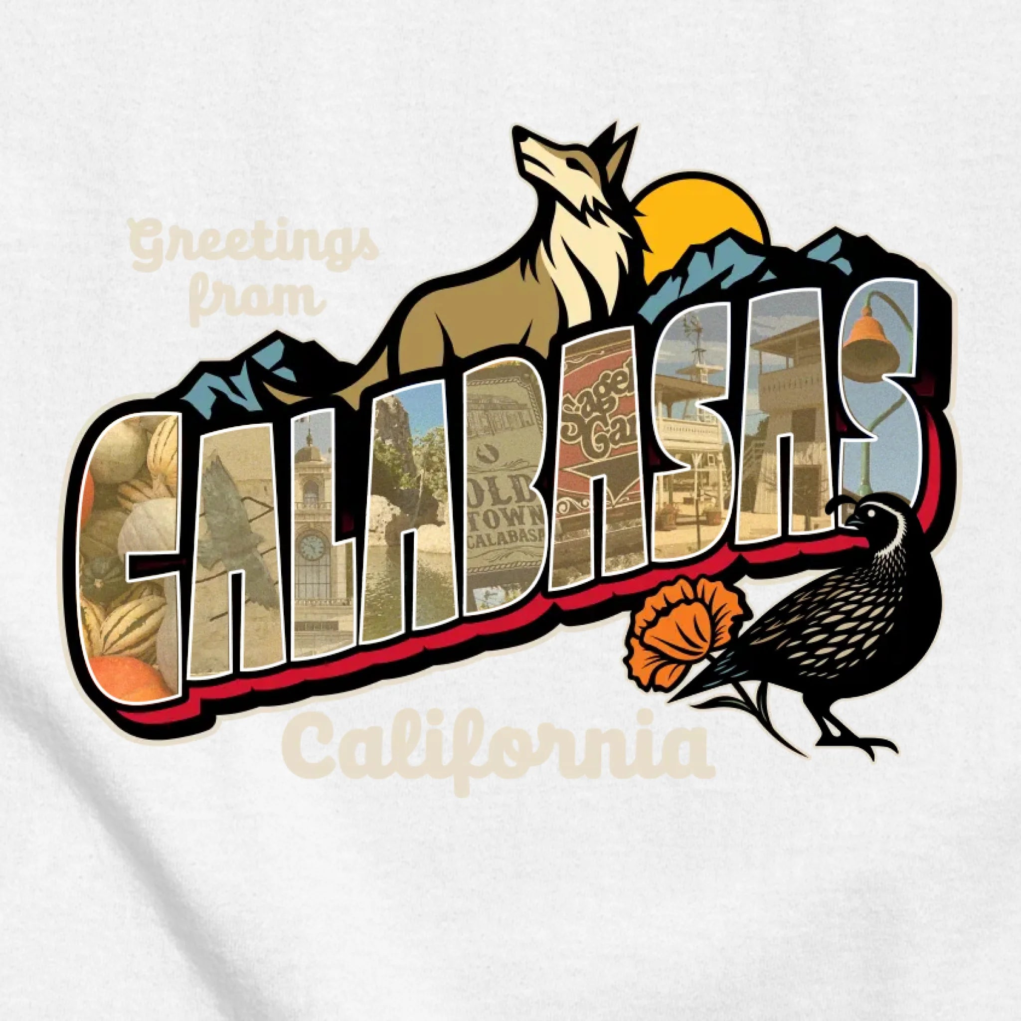 classic_transparent-FRONT_zoom2