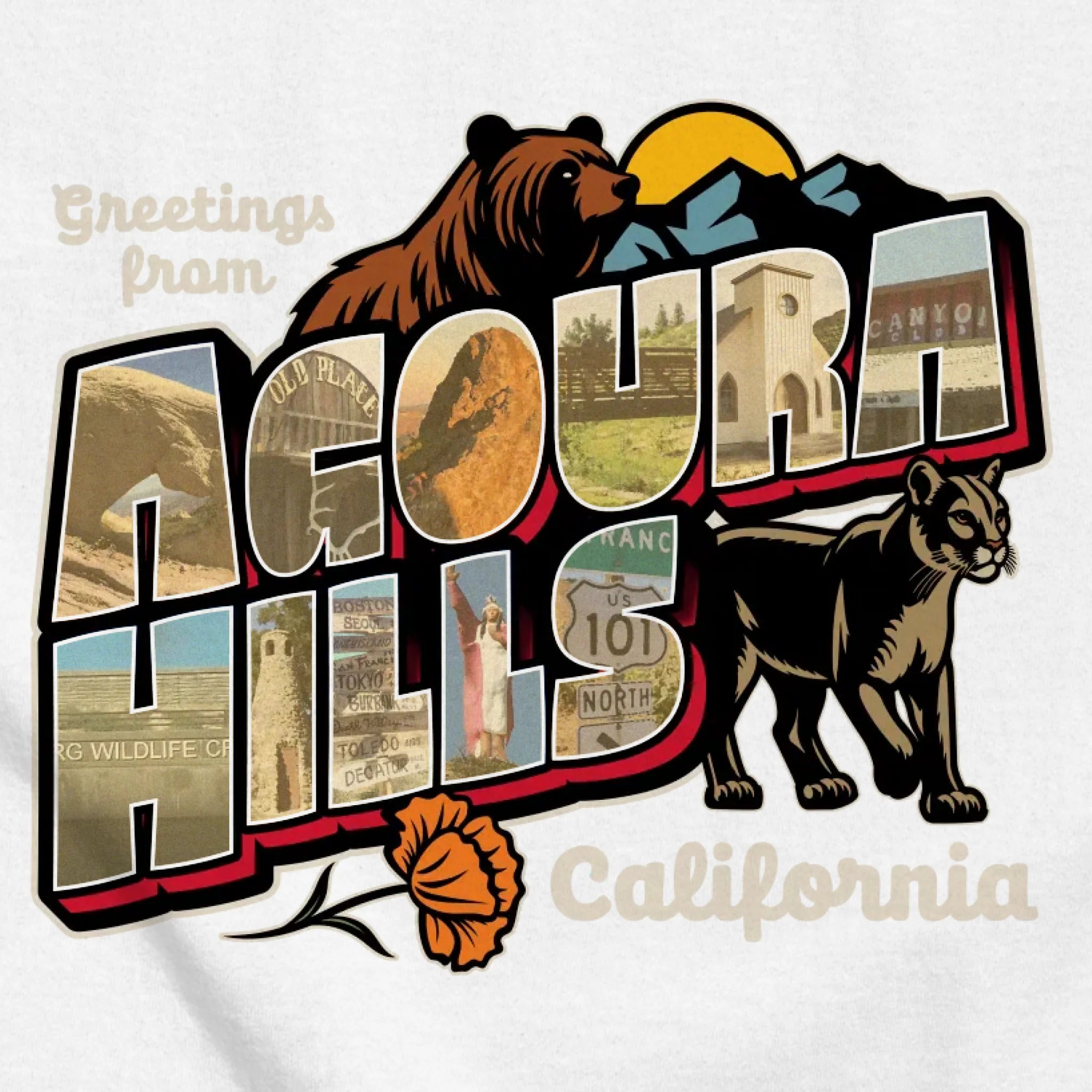 classic_transparent-FRONT_zoom