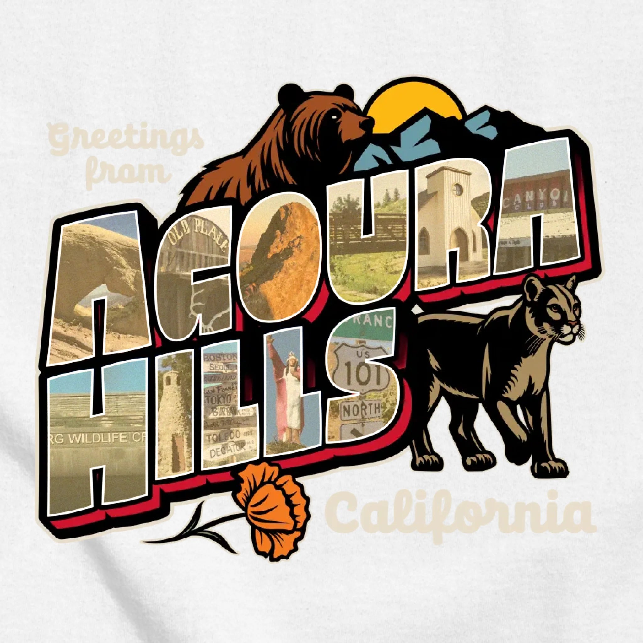 classic_transparent-FRONT_zoom2