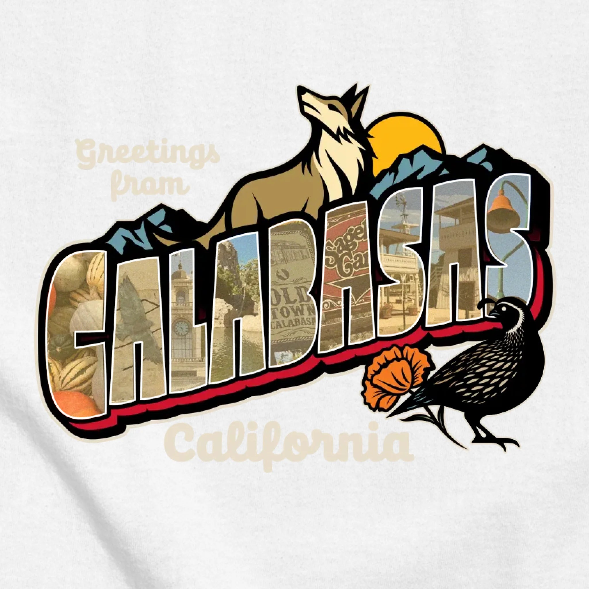 classic_transparent-FRONT_zoom2