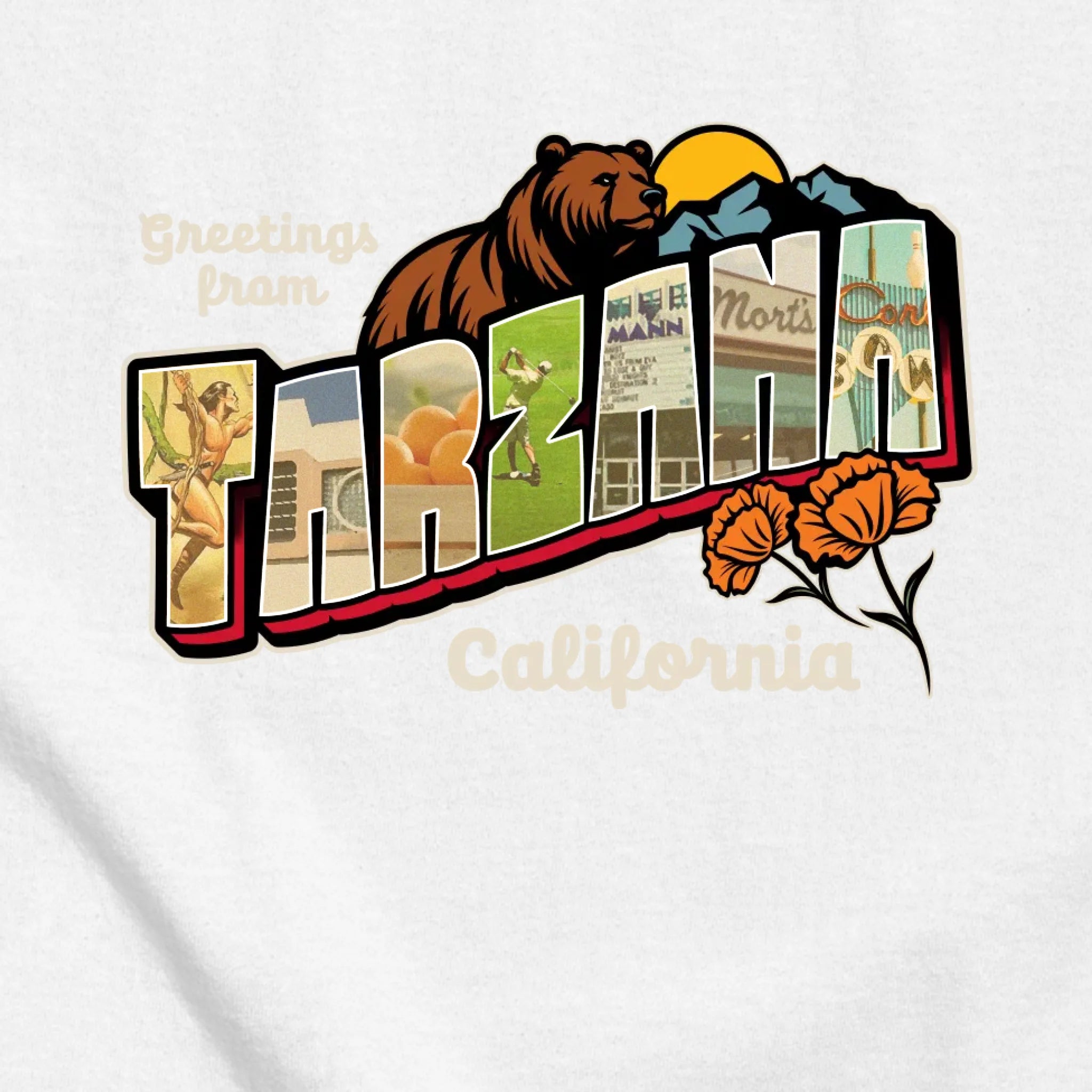 classic_transparent-FRONT_zoom2