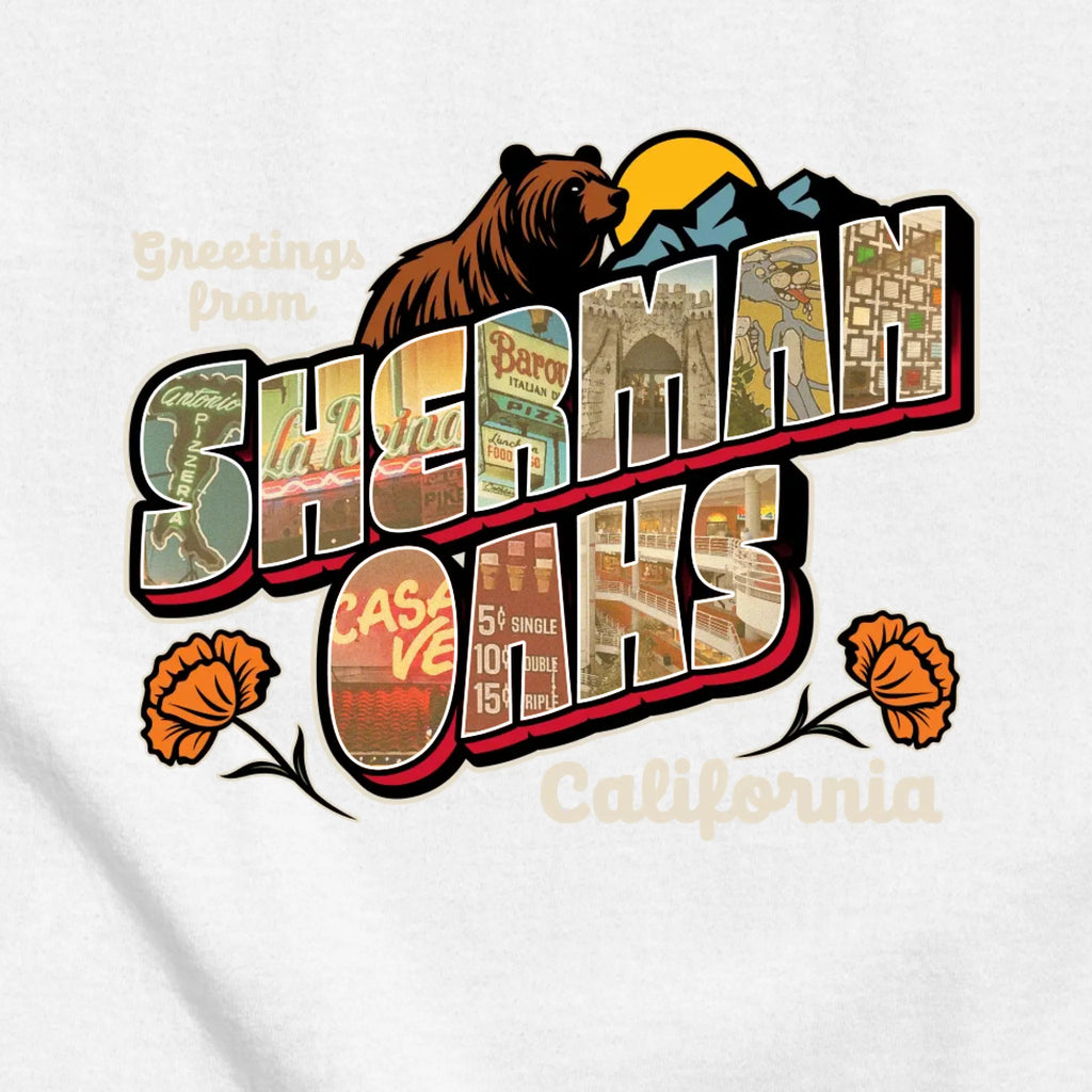 classic_transparent-FRONT_zoom2