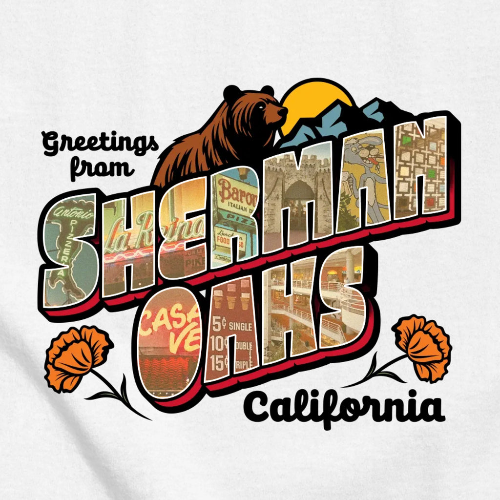 classic_transparent-FRONT_zoom2