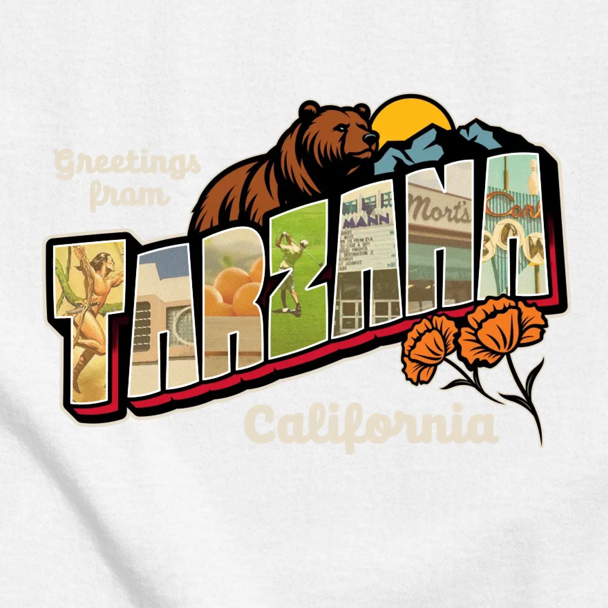 classic_transparent-FRONT_zoom2