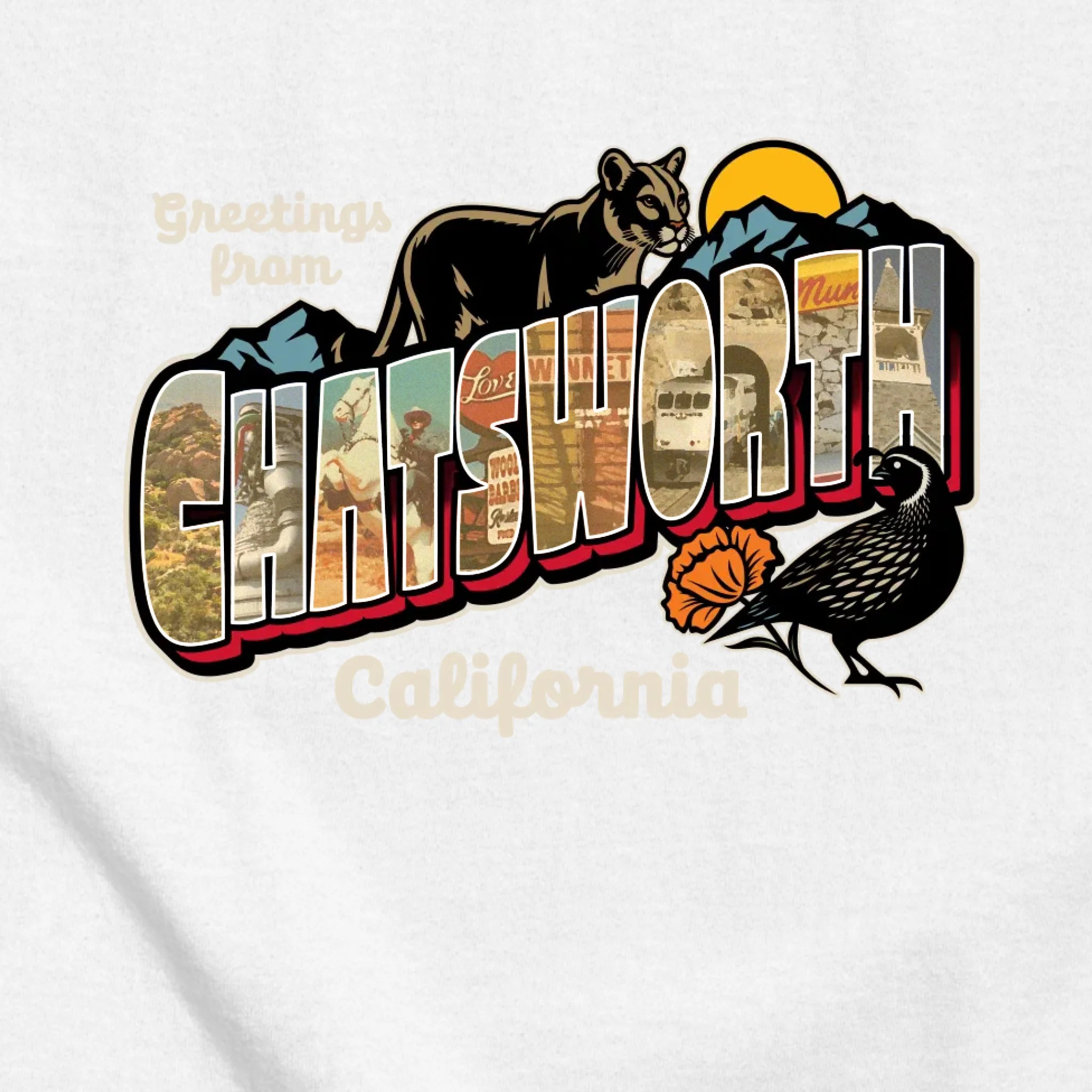 classic_transparent-FRONT_zoom2