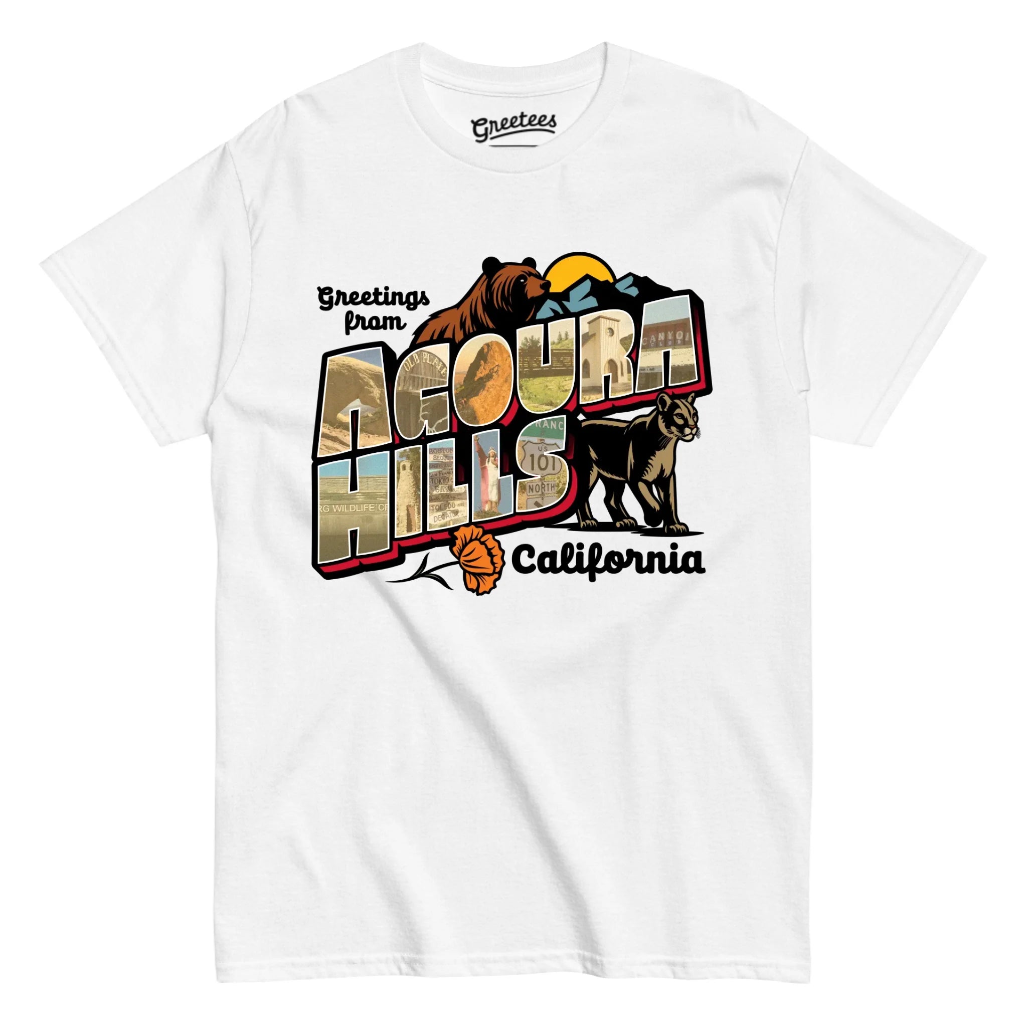 classic_transparent-FRONT_LIGHTS2